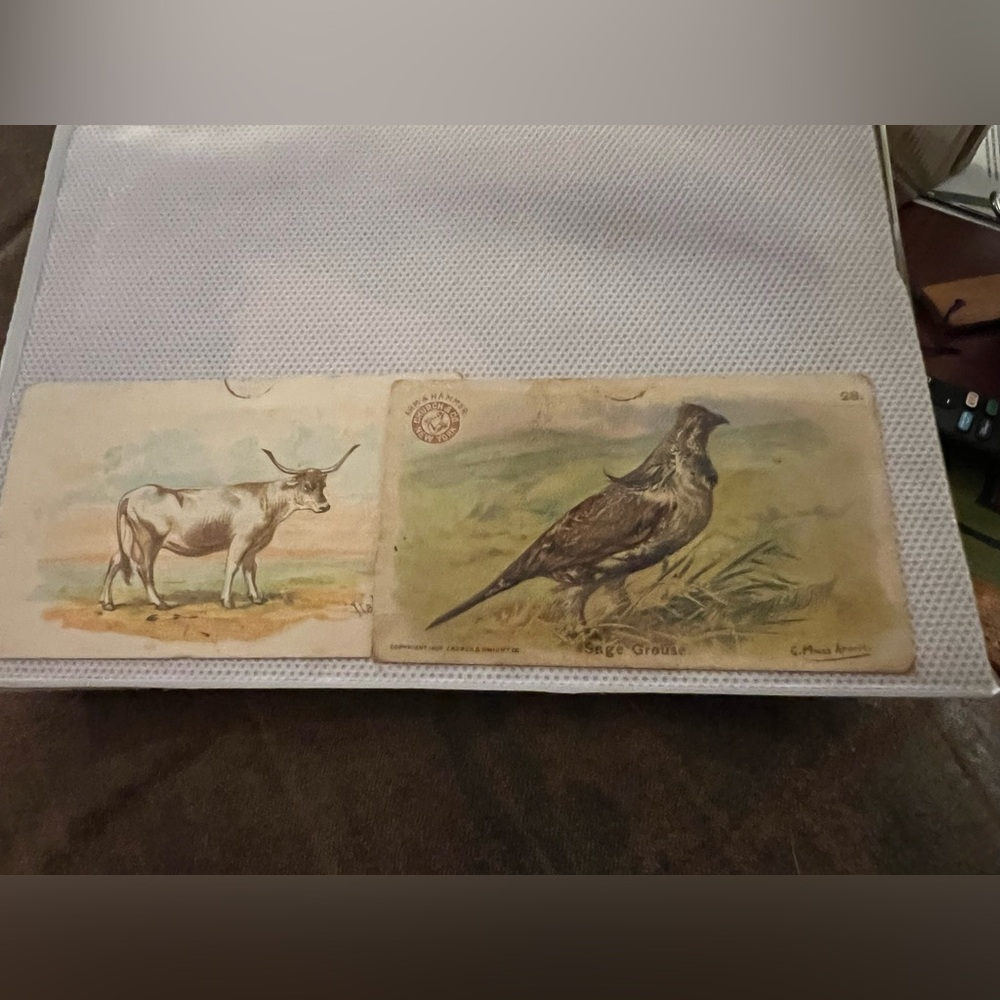 Vintage Animal Postcards - Picture 1 of 2
